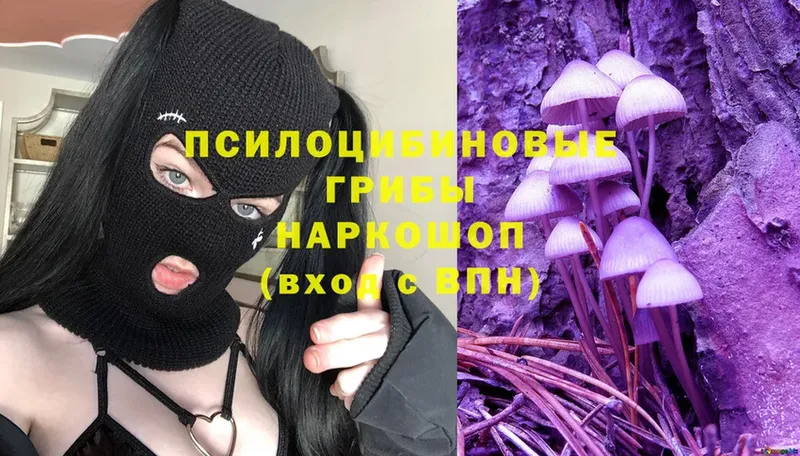 Галлюциногенные грибы MAGIC MUSHROOMS  MEGA ССЫЛКА  Алагир 